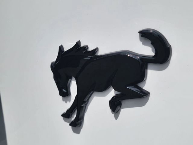 Certified 2021 Ford Bronco Badlands image 5