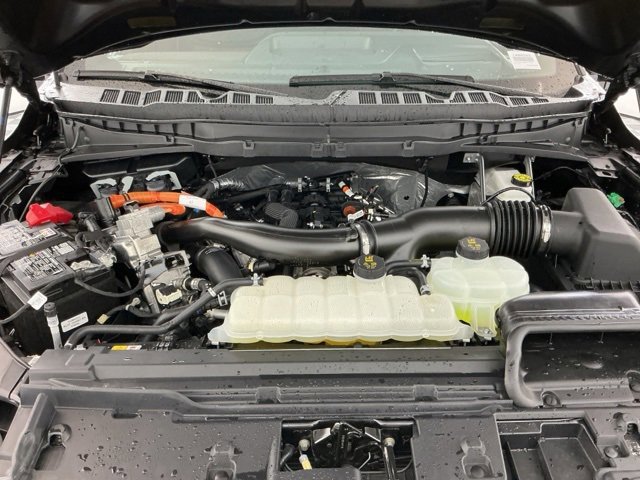 Certified 2025 Ford F150 King Ranch image 35