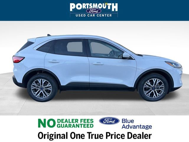 Certified 2022 Ford Escape SEL image 3