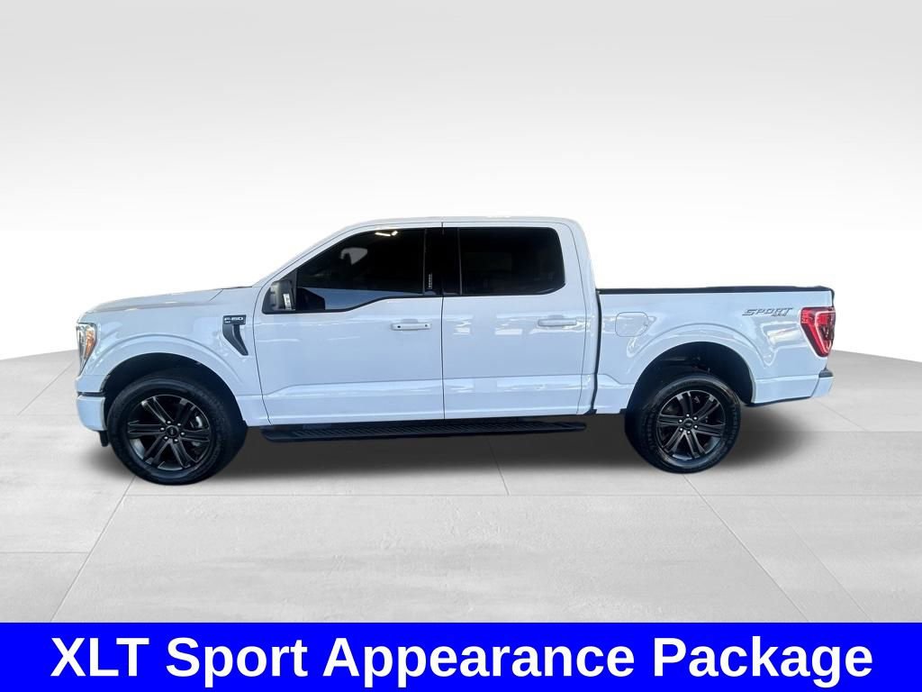 Certified 2022 Ford F150 XLT w/ Equipment Group 302A High image 8