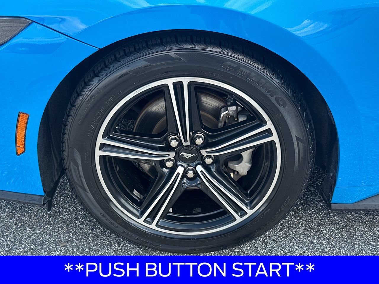 Certified 2024 Ford Mustang Premium RWD image 13