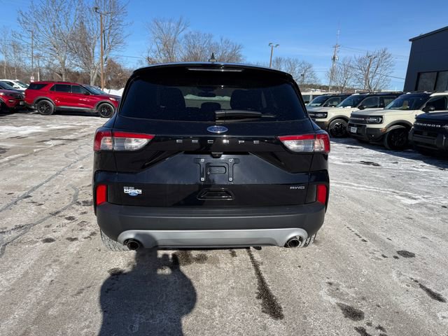Certified 2022 Ford Escape SE w/ Convenience Package image 4