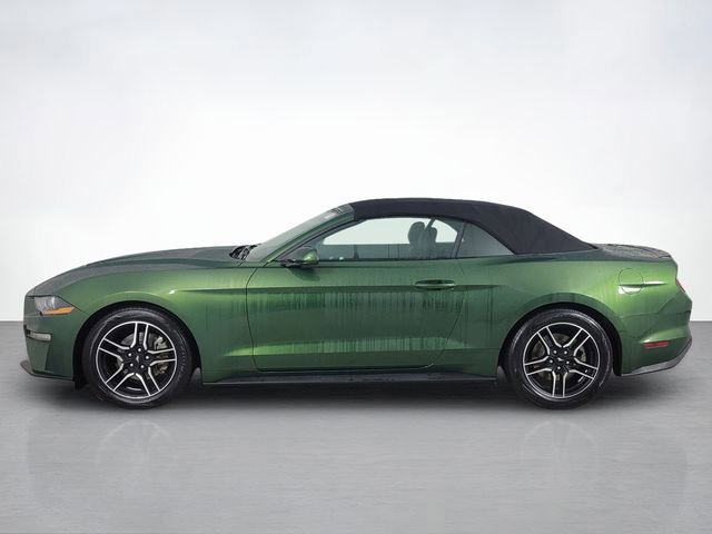 Certified 2023 Ford Mustang Premium image 2