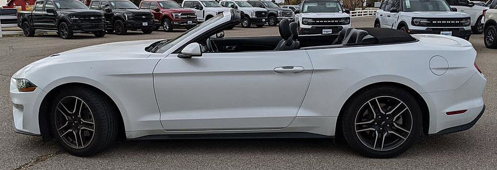 Certified 2023 Ford Mustang Premium RWD image 9