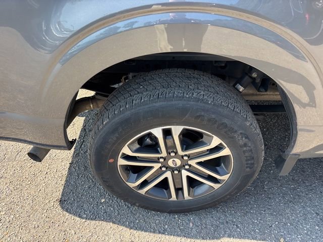 Certified 2023 Ford F150 XL w/ STX Appearance Package image 12