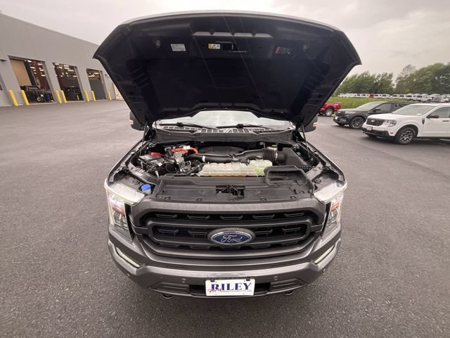 Certified 2022 Ford F150 XLT w/ Equipment Group 302A High AWD/4WD image 26