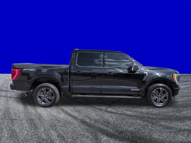 Certified 2023 Ford F150 XLT w/ Equipment Group 302A High AWD/4WD image 3