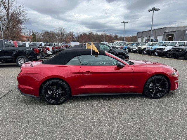 Certified 2023 Ford Mustang Premium w/ Equipment Group 201A RWD image 6