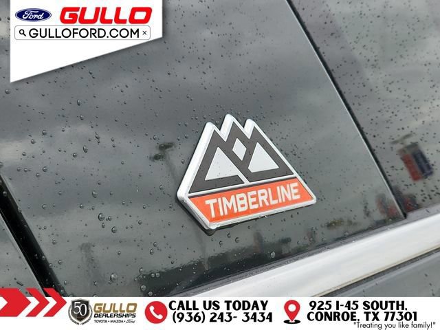 Certified 2022 Ford Expedition Timberline image 32