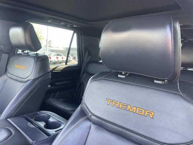 Certified 2025 Ford Expedition Tremor image 23