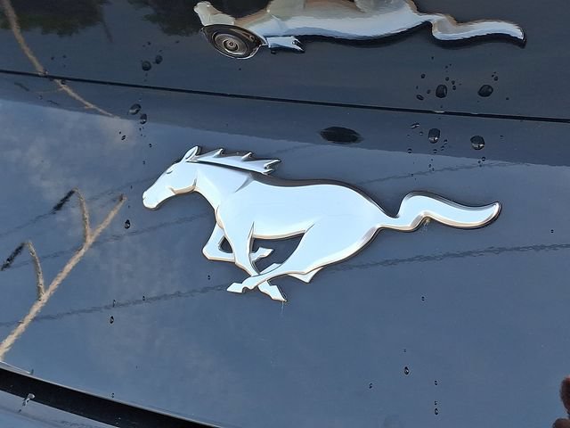 Certified 2024 Ford Mustang Coupe RWD image 29