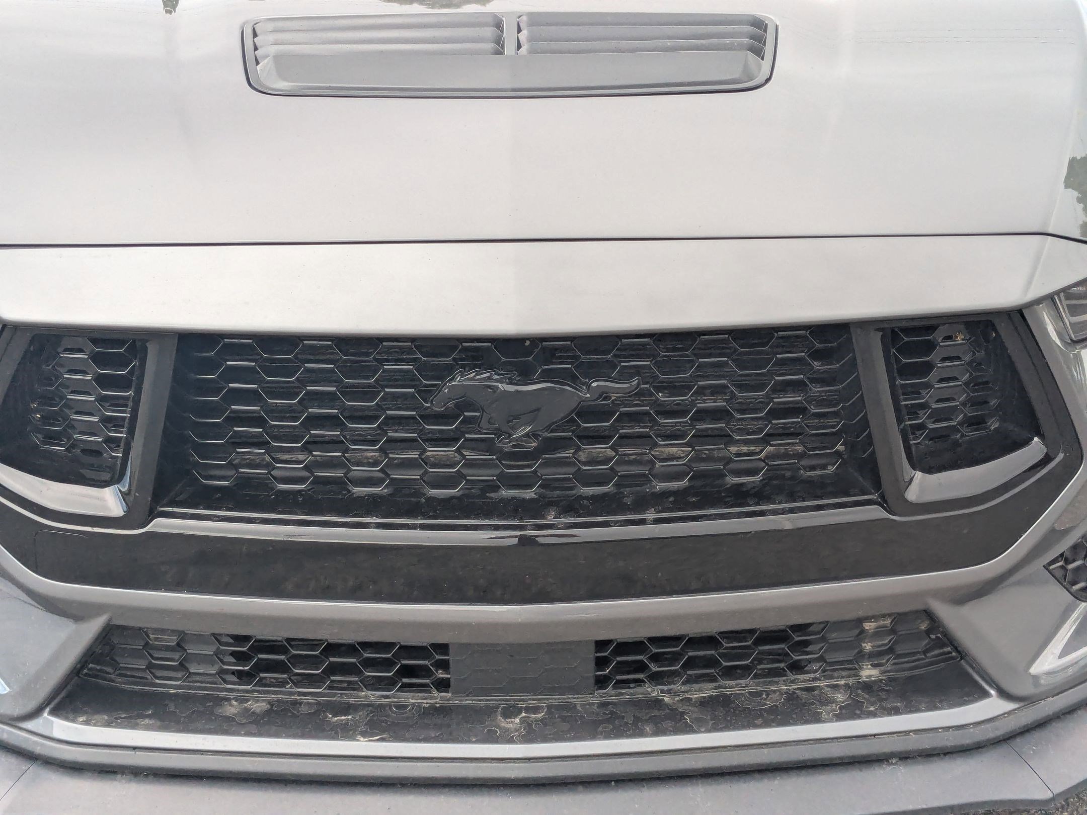 Certified 2024 Ford Mustang GT Premium RWD image 12