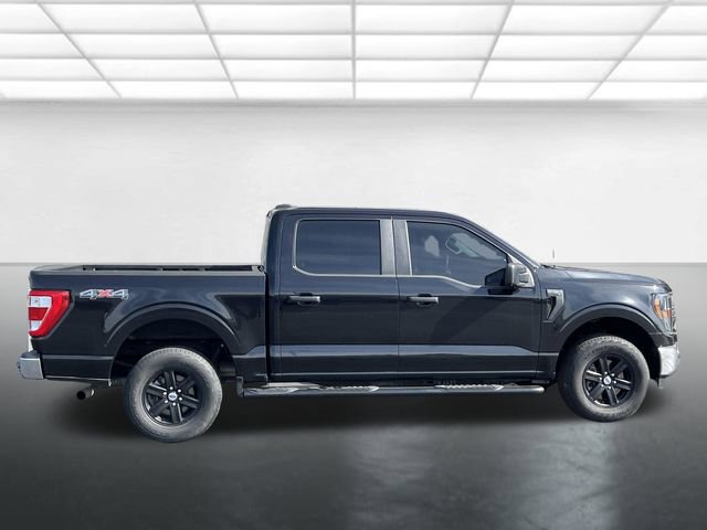 Certified 2023 Ford F150 XL w/ XL Chrome Appearance Package AWD/4WD image 3