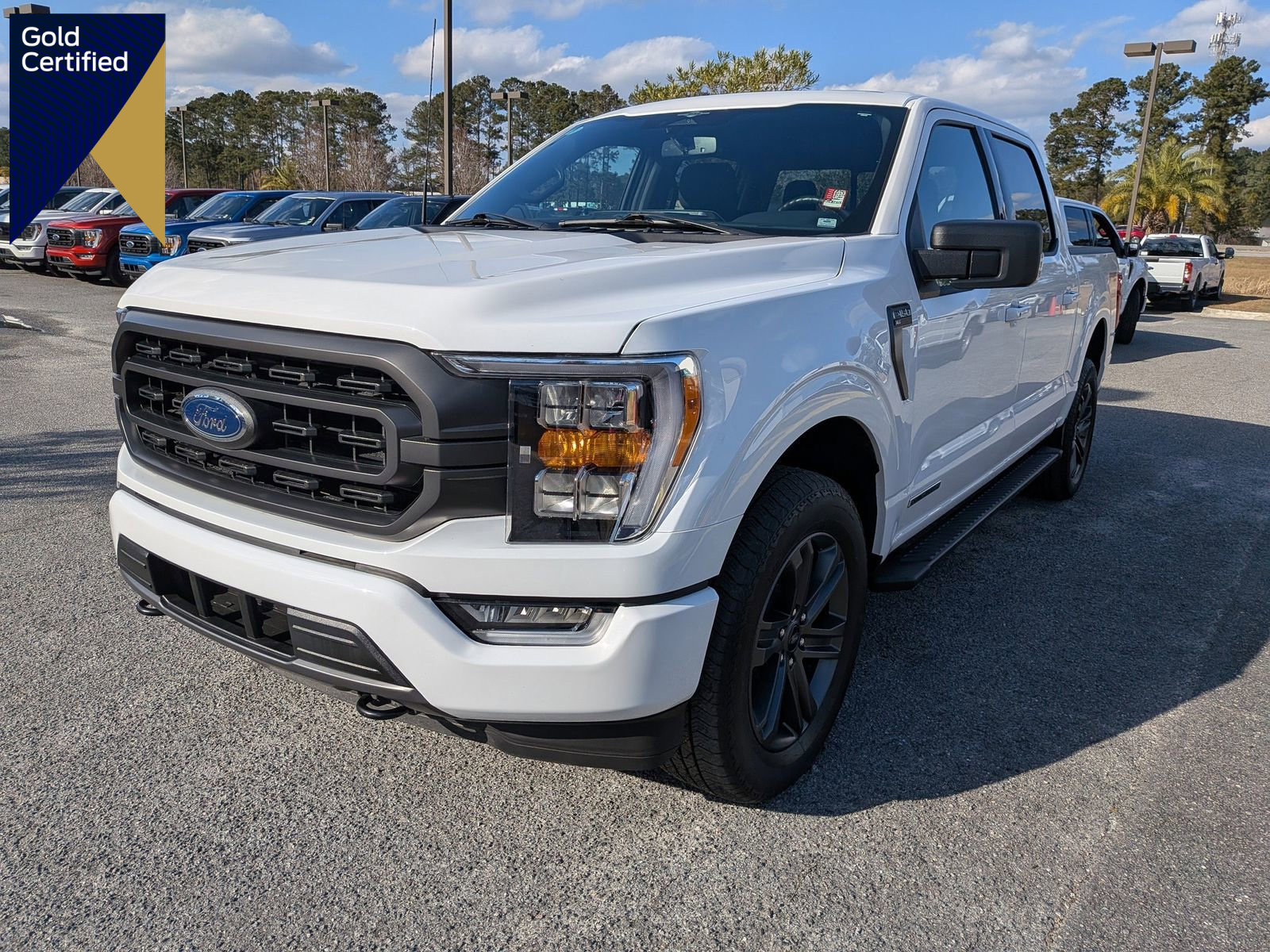 Certified 2023 Ford F150 XLT w/ Equipment Group 302A High image 1