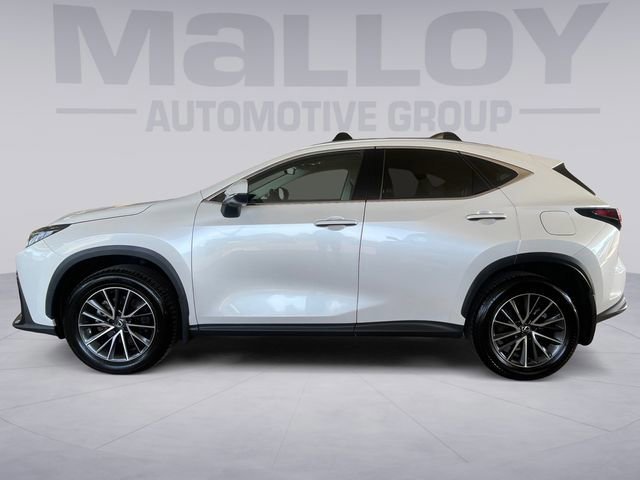 Used 2024 Lexus NX 350 AWD w/ Cold Area Package image 2
