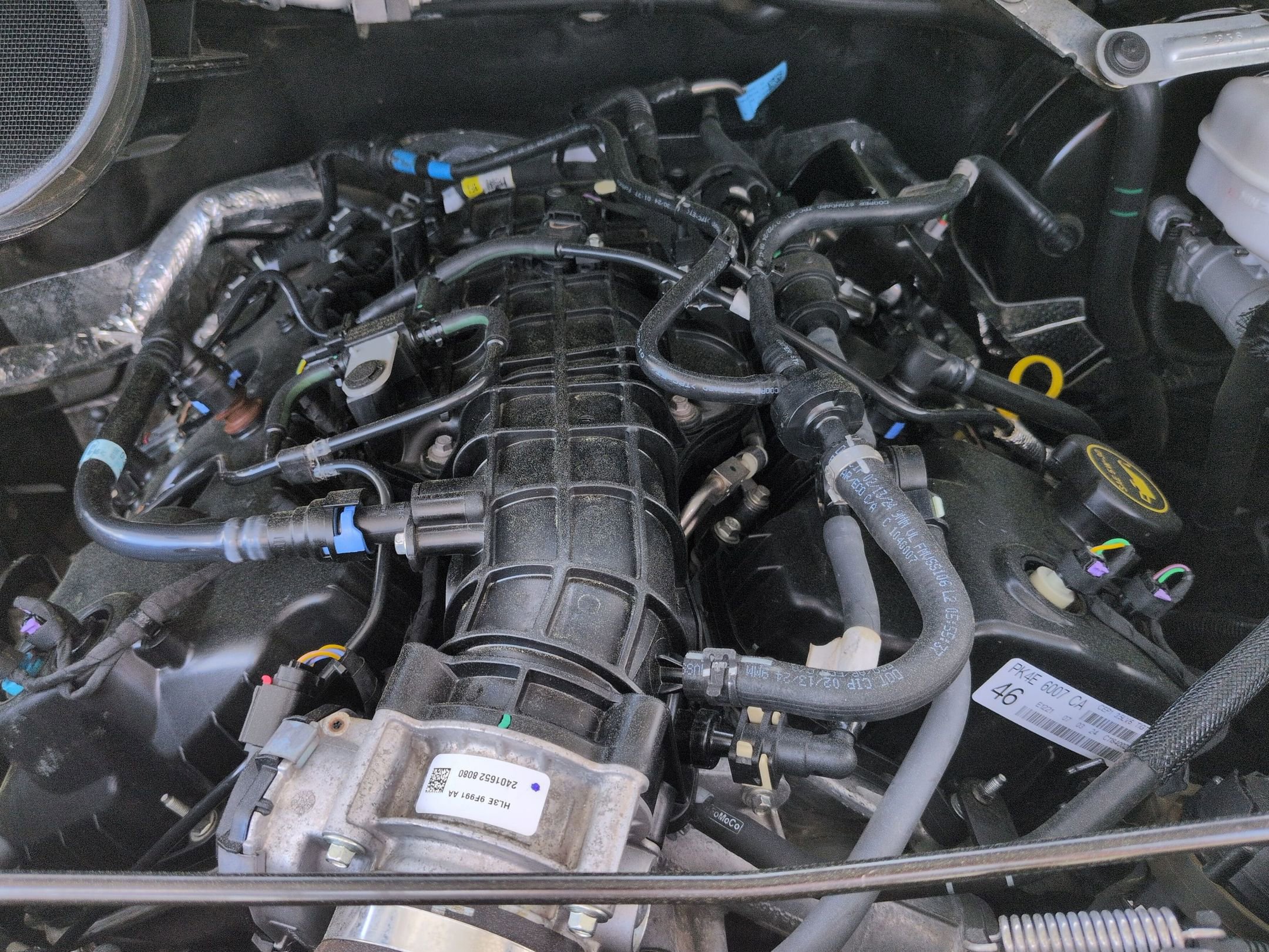 Certified 2024 Ford Transit 350 XLT image 36