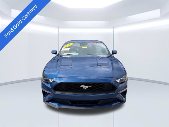 Certified 2023 Ford Mustang Premium w/ Equipment Group 201A RWD image 2