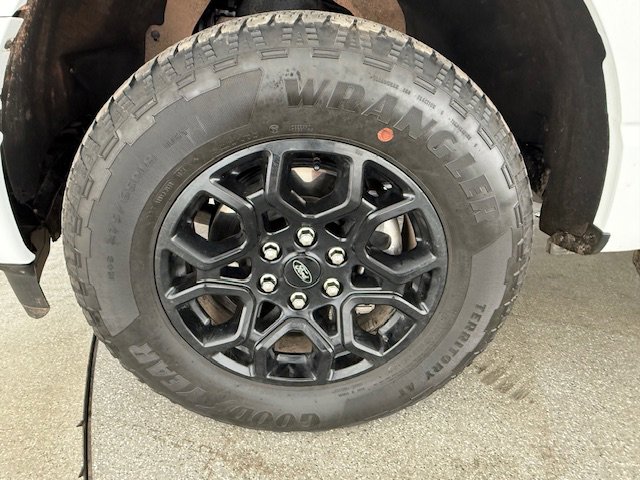 Certified 2025 Ford F150 XLT w/ Equipment Group 301A Standard image 7