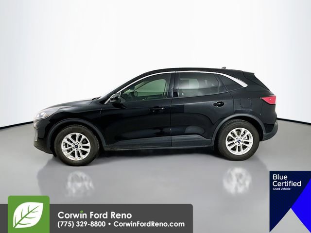 Certified 2020 Ford Escape SE image 4