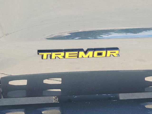 Certified 2025 Ford Expedition Tremor AWD/4WD image 15