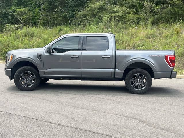Certified 2023 Ford F150 XLT w/ Equipment Group 302A High AWD/4WD image 7
