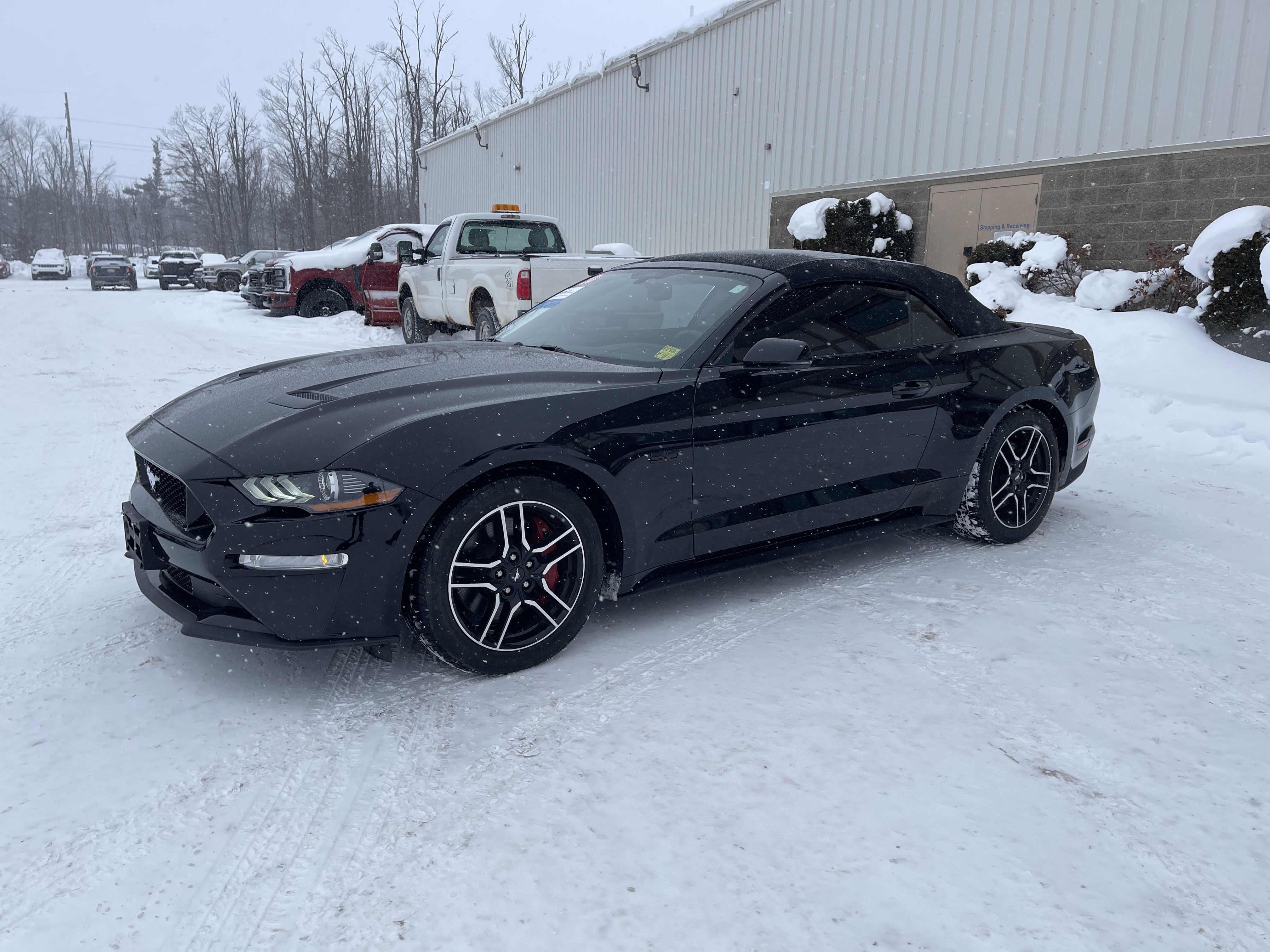 Certified 2020 Ford Mustang GT Premium image 8