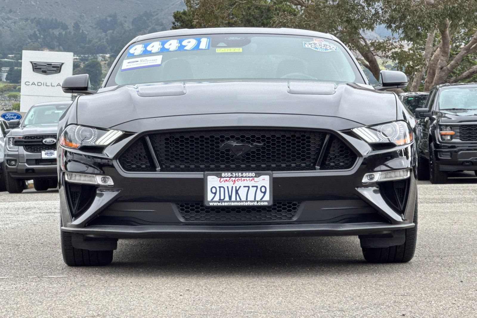 Certified 2022 Ford Mustang GT Premium w/ Equipment Group 401A RWD image 13