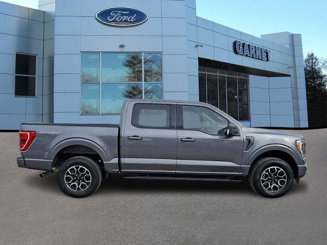 Certified 2023 Ford F150 XLT w/ Equipment Group 302A High image 2