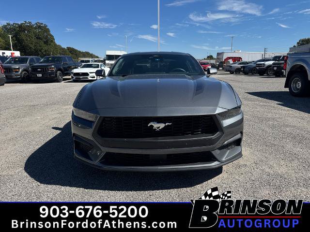 Certified 2025 Ford Mustang Coupe w/ Wheel & Stripe Package RWD image 2