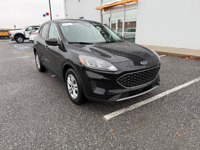 Certified 2022 Ford Escape SE w/ Convenience Package image 7