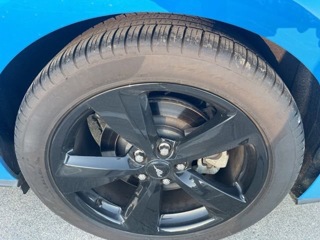 Certified 2023 Ford Mustang GT Premium w/ Mustang Nite Pony Package image 12