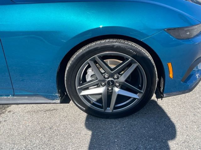 Certified 2026 Ford Mustang EcoBoost image 11