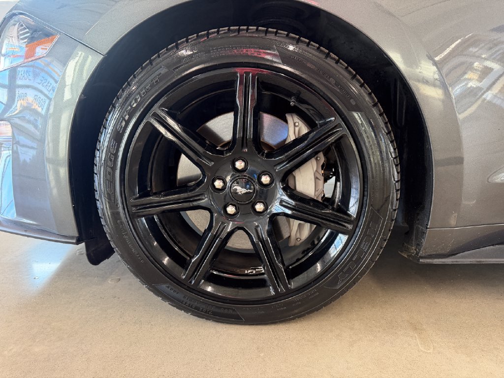 Certified 2019 Ford Mustang GT Premium w/ Equipment Group 401A RWD image 17
