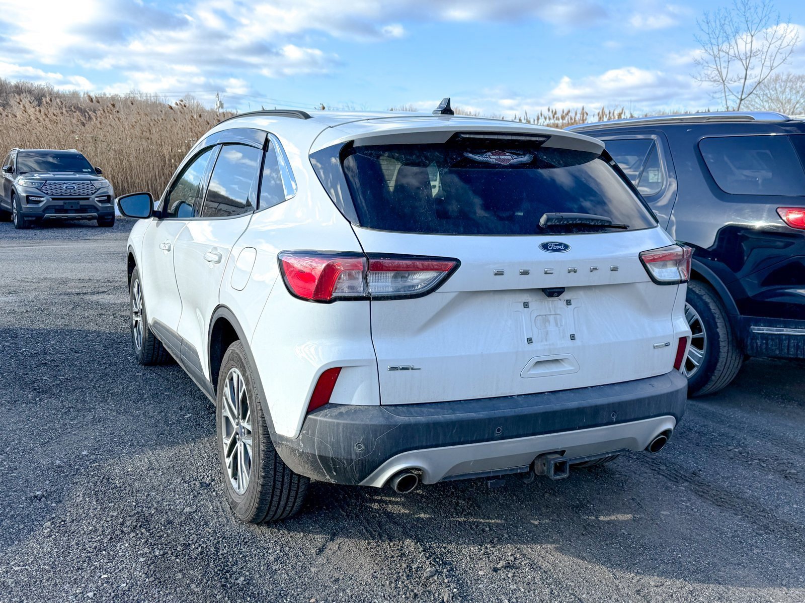 Certified 2020 Ford Escape SEL image 5