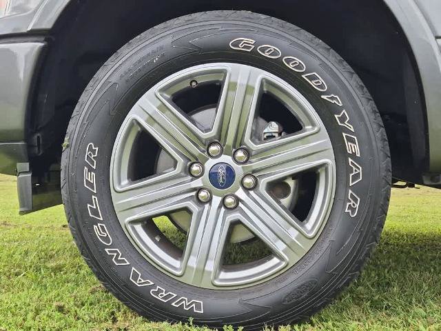 Certified 2019 Ford F150 XLT w/ Equipment Group 302A Luxury AWD/4WD image 6