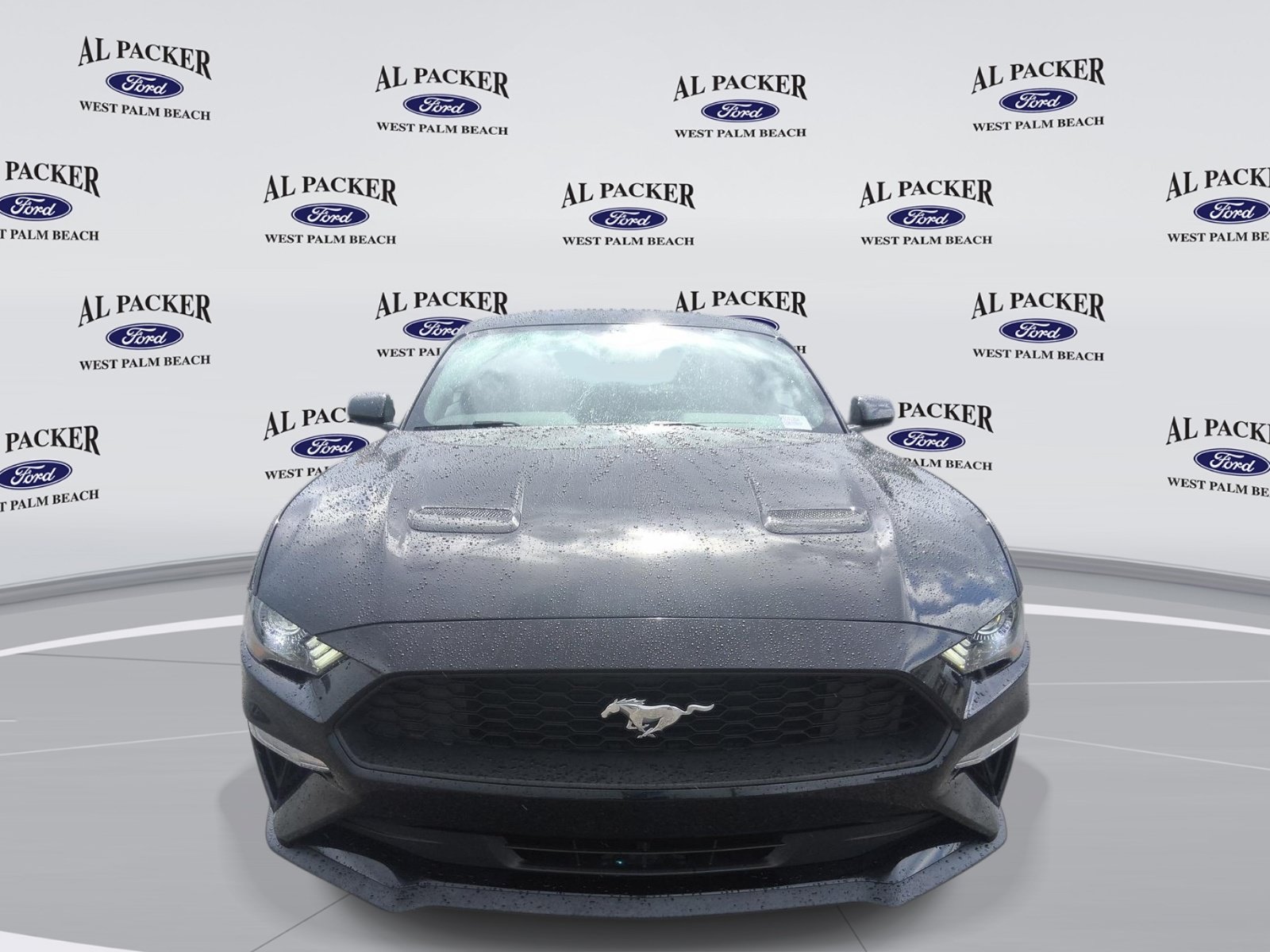 Certified 2019 Ford Mustang Coupe w/ Equipment Group 101A RWD image 8