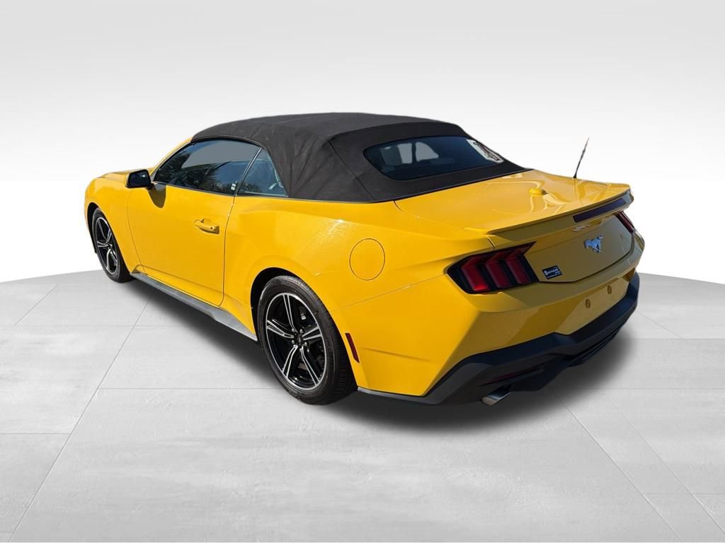 Certified 2024 Ford Mustang Premium image 5