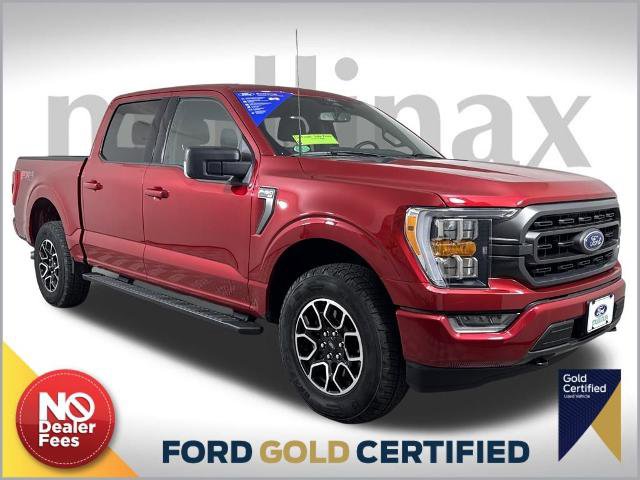 Certified 2022 Ford F150 XLT w/ Equipment Group 302A High image 1