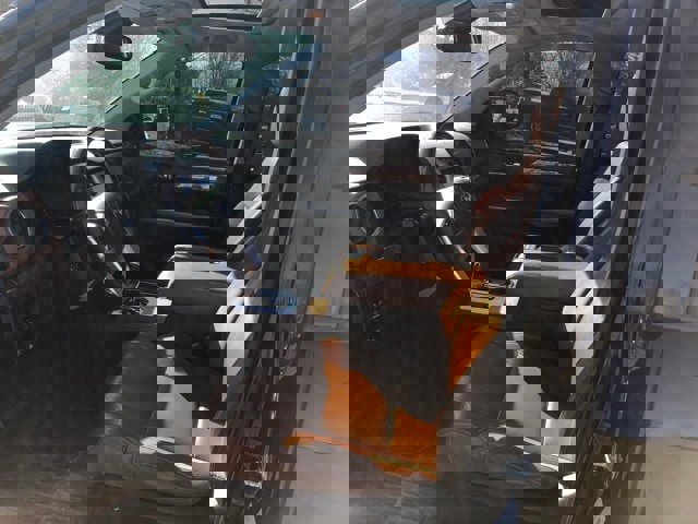 Used 2019 Toyota Tundra 1794 Edition image 8