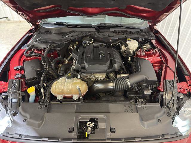 Certified 2018 Ford Mustang ECOBOOST w/ Equipment Group 101A image 13
