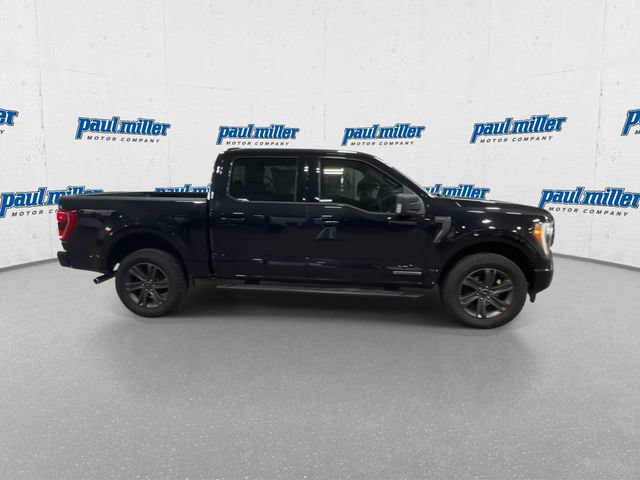 Certified 2023 Ford F150 XLT w/ Equipment Group 302A High AWD/4WD image 6