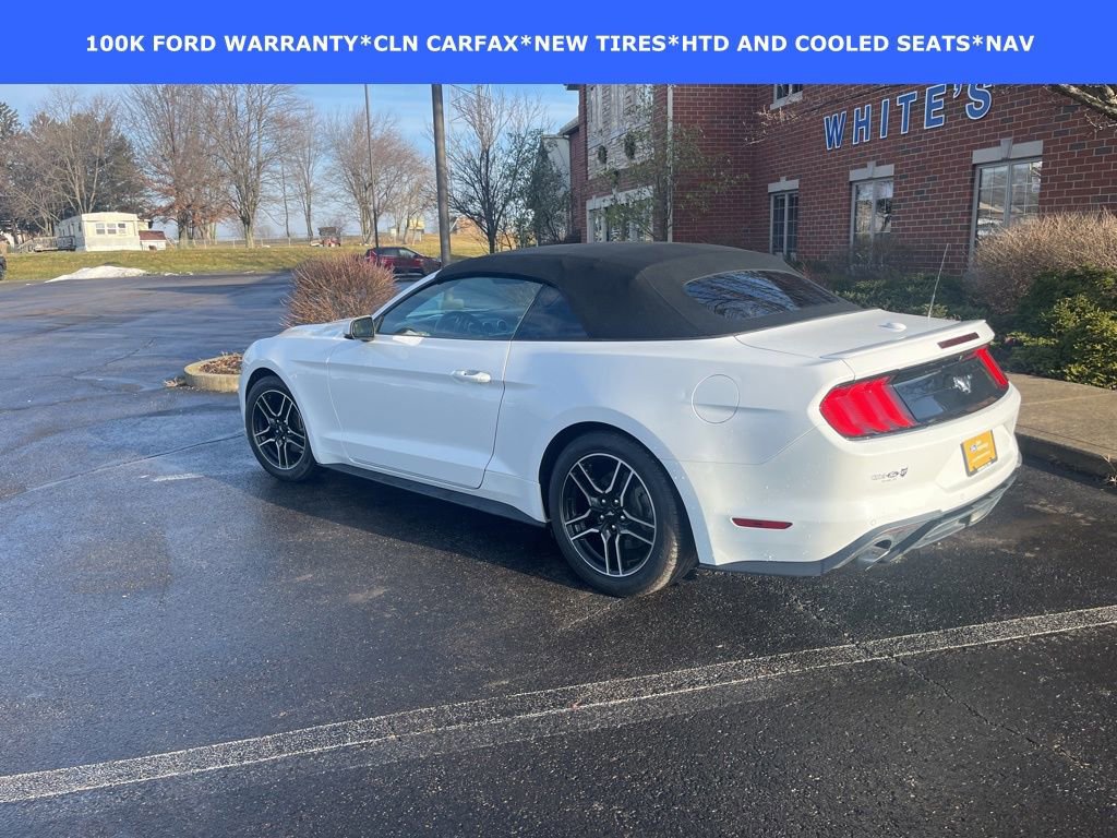 Certified 2022 Ford Mustang Premium w/ Equipment Group 201A image 5