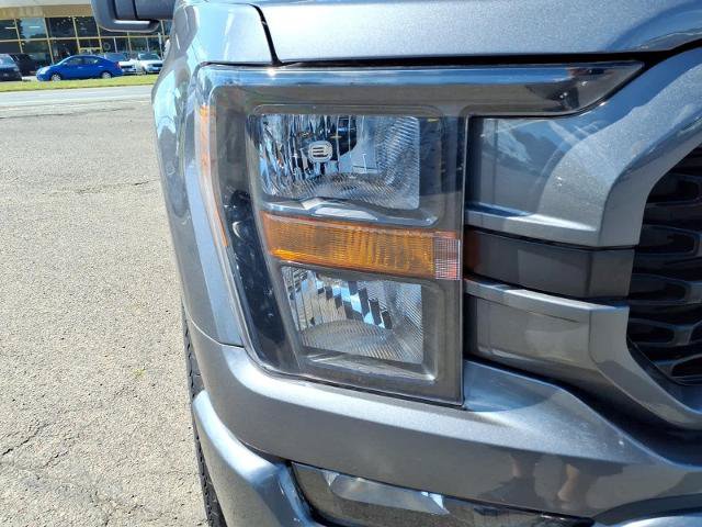 Certified 2023 Ford F150 XL w/ STX Appearance Package AWD/4WD image 9