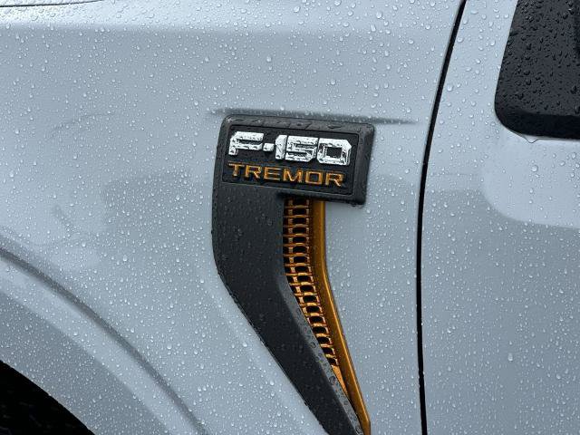 Certified 2025 Ford F150 Tremor w/ Tow/Haul Package AWD/4WD image 24