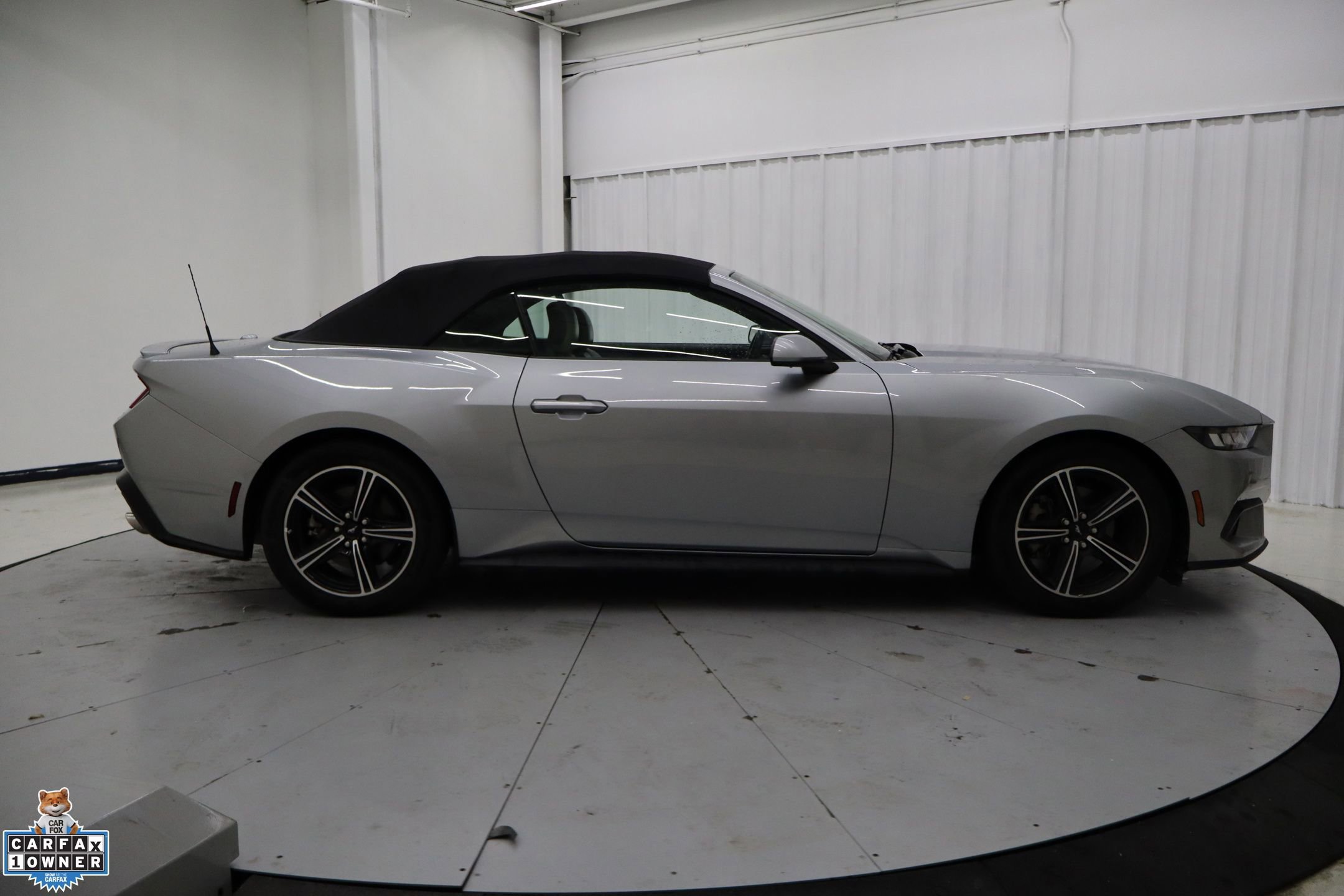 Certified 2024 Ford Mustang Premium image 6