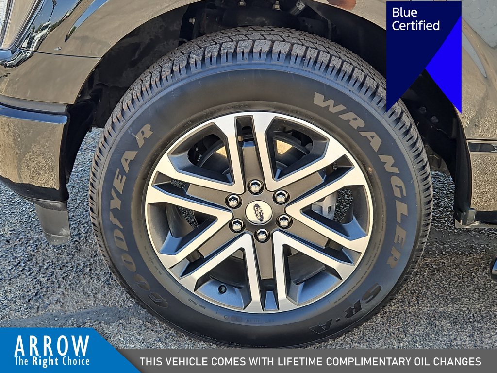 Certified 2023 Ford F150 XL w/ STX Appearance Package RWD image 17