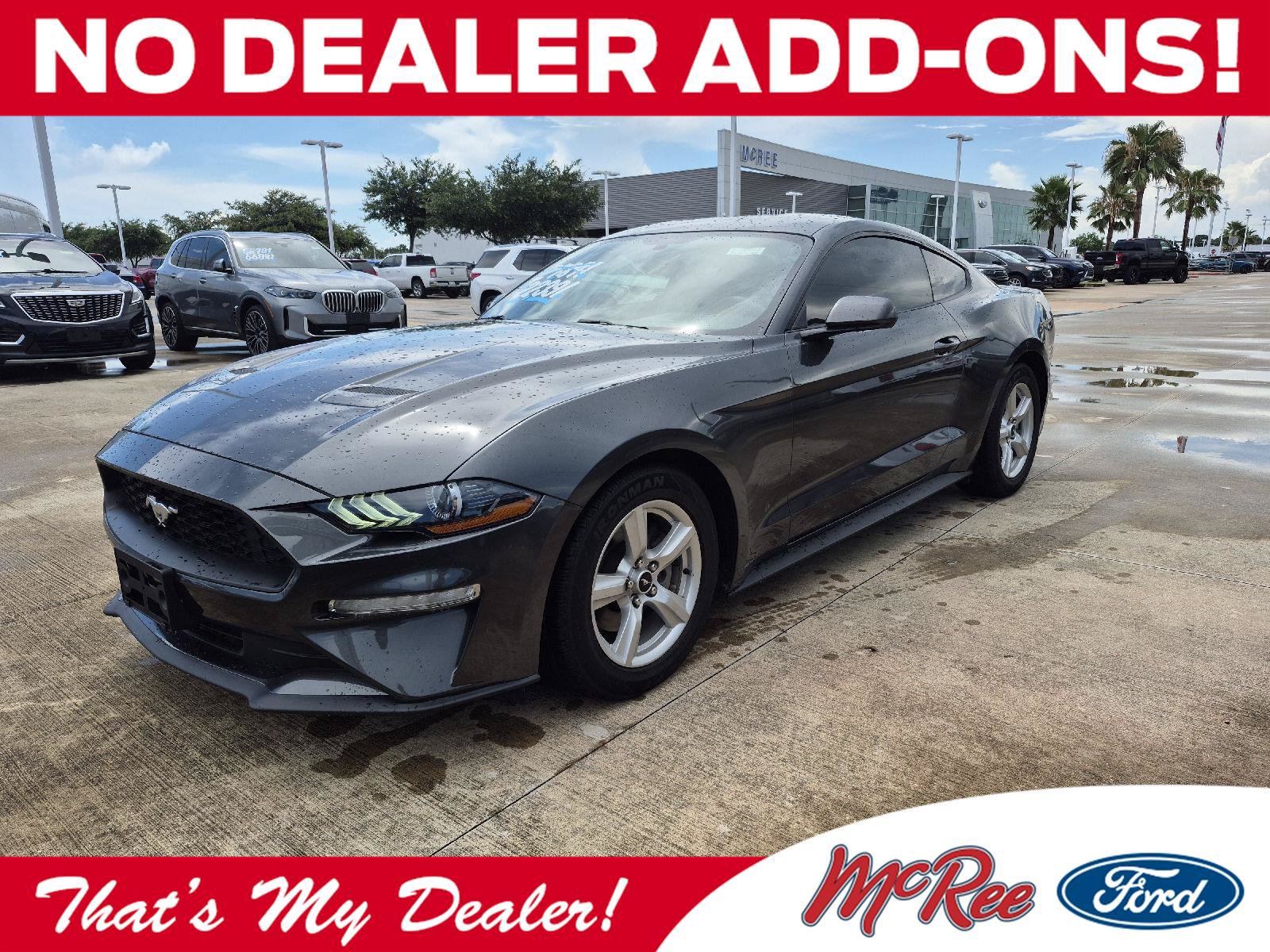 Certified 2019 Ford Mustang Coupe RWD video 1