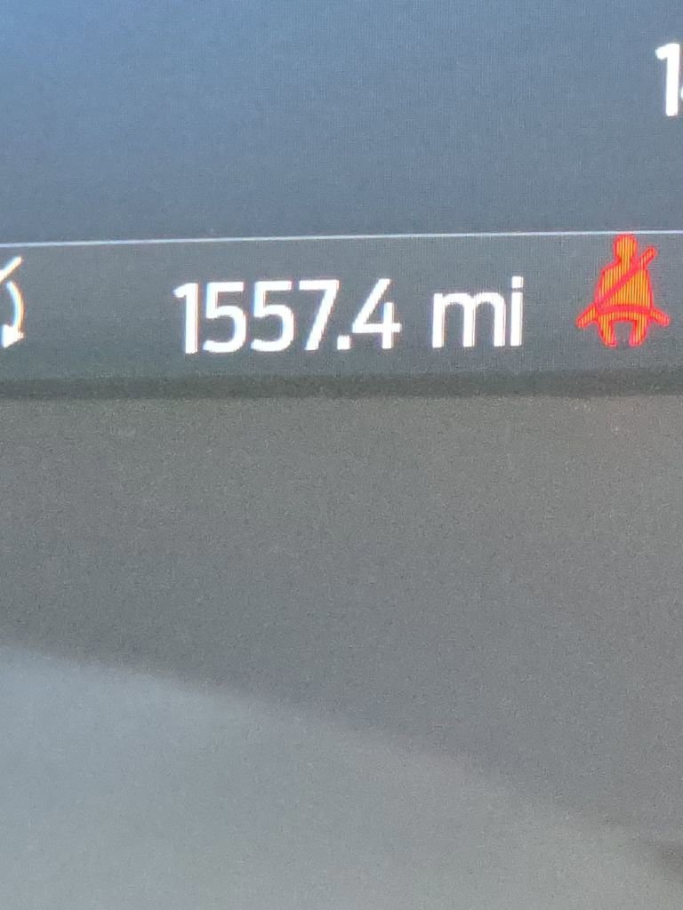 Certified 2025 Ford F150 Raptor image 11