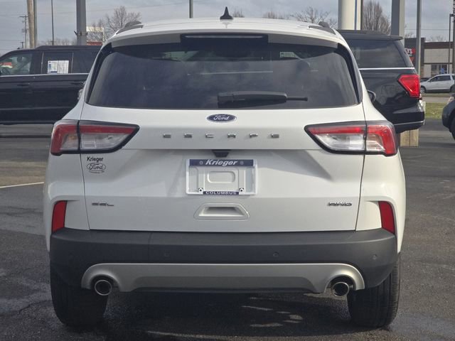 Certified 2022 Ford Escape SEL image 4