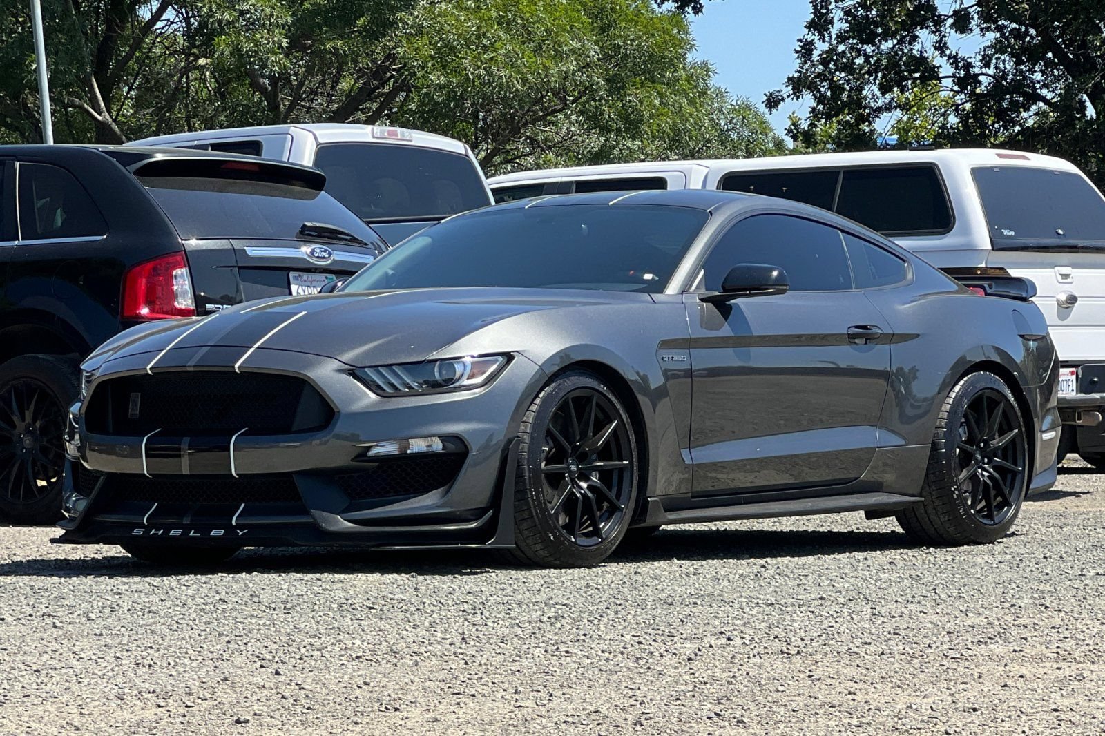 Certified 2017 Ford Mustang Shelby GT350 w/ Electronics Package RWD image 8